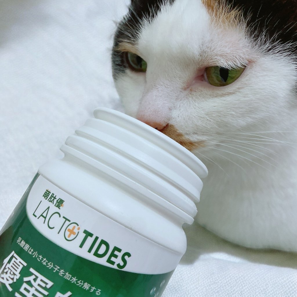 獨家寵物營養粉開箱｜萌肽優LactoTides｜全護型優蛋白