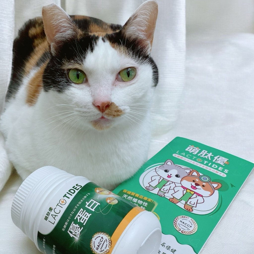 獨家寵物營養粉開箱｜萌肽優LactoTides｜全護型優蛋白
