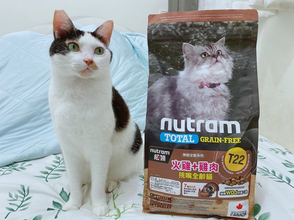 美味健康貓糧推薦｜Nutram紐頓 系列貓糧｜來自加拿大的天