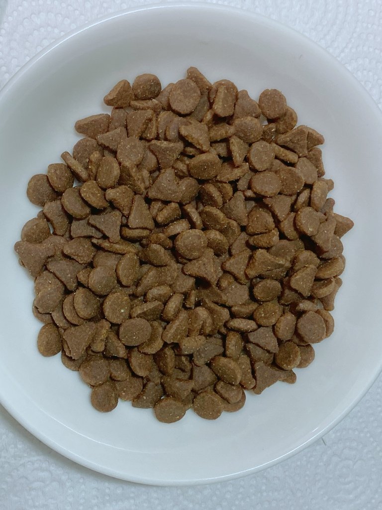 美味健康貓糧推薦｜Nutram紐頓 系列貓糧｜來自加拿大的天