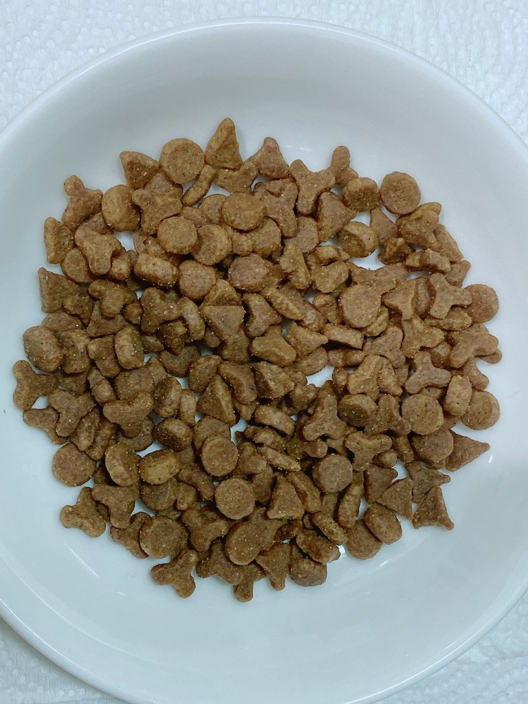 美味健康貓糧推薦｜Nutram紐頓 系列貓糧｜來自加拿大的天