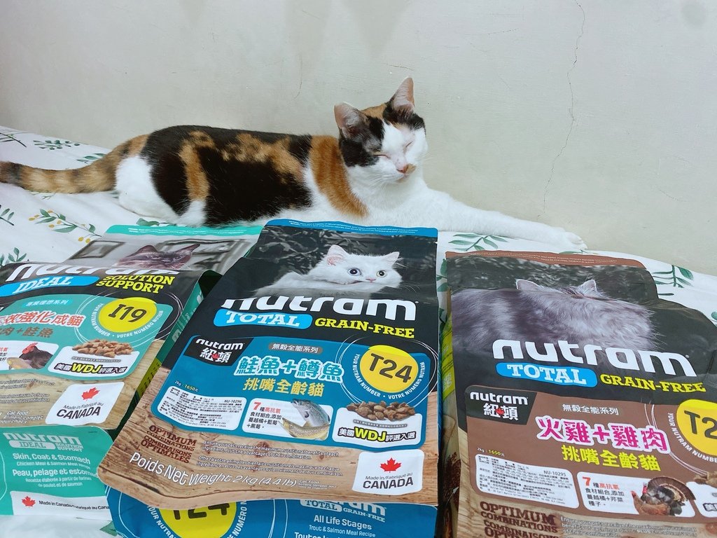 美味健康貓糧推薦｜Nutram紐頓 系列貓糧｜來自加拿大的天
