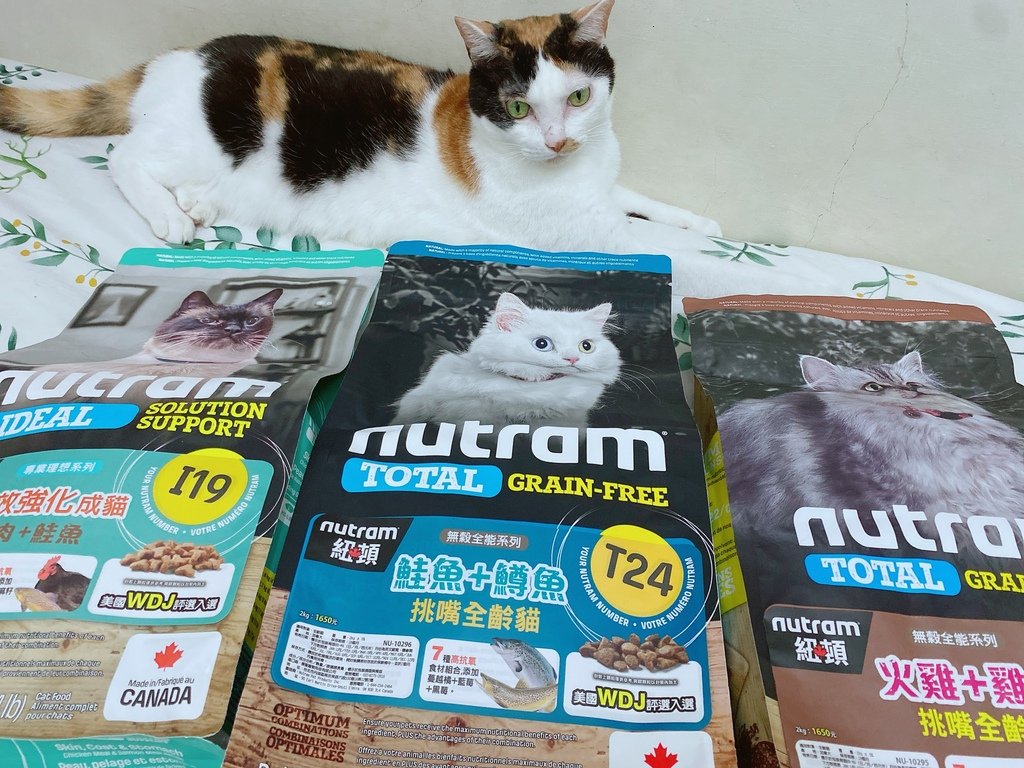 美味健康貓糧推薦｜Nutram紐頓 系列貓糧｜來自加拿大的天