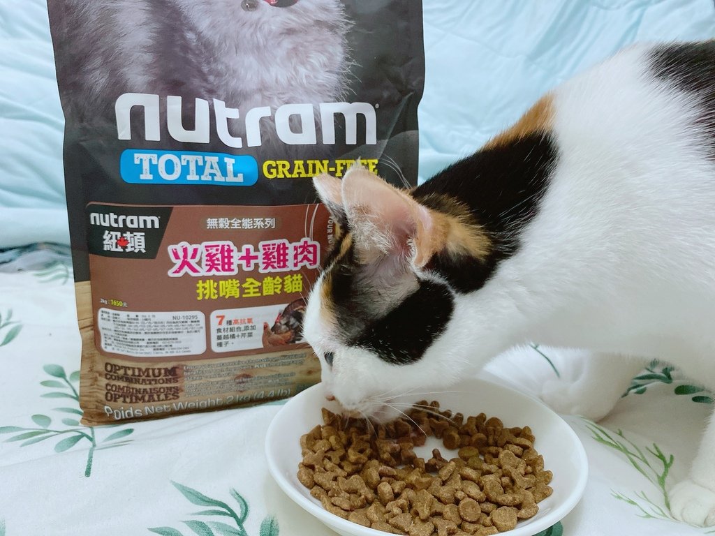 美味健康貓糧推薦｜Nutram紐頓 系列貓糧｜來自加拿大的天