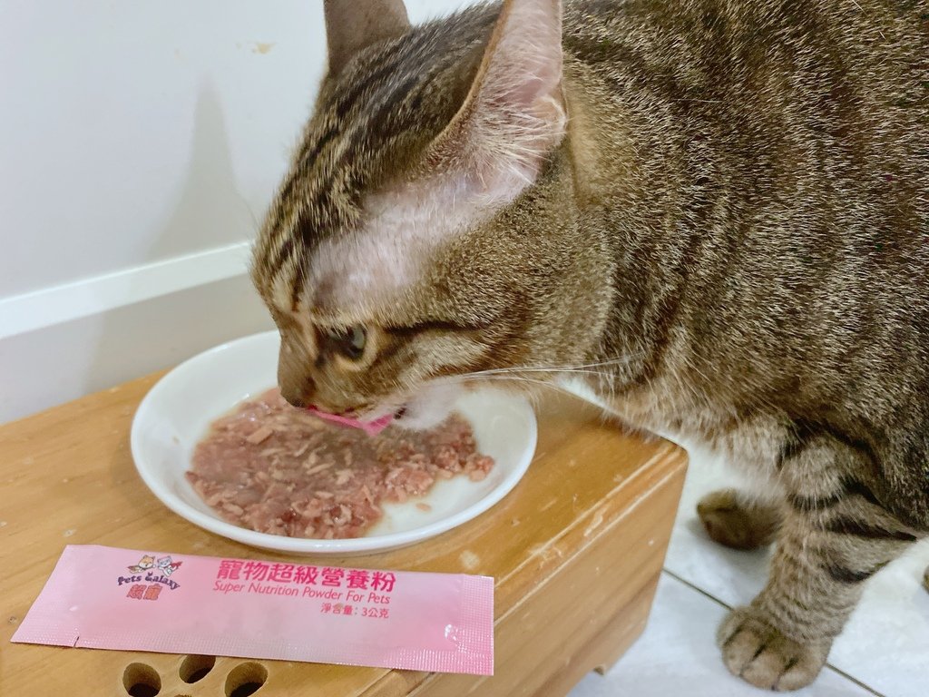 寵物營養品心得｜珮慈星系Pets Galaxy｜【超寵】寵物