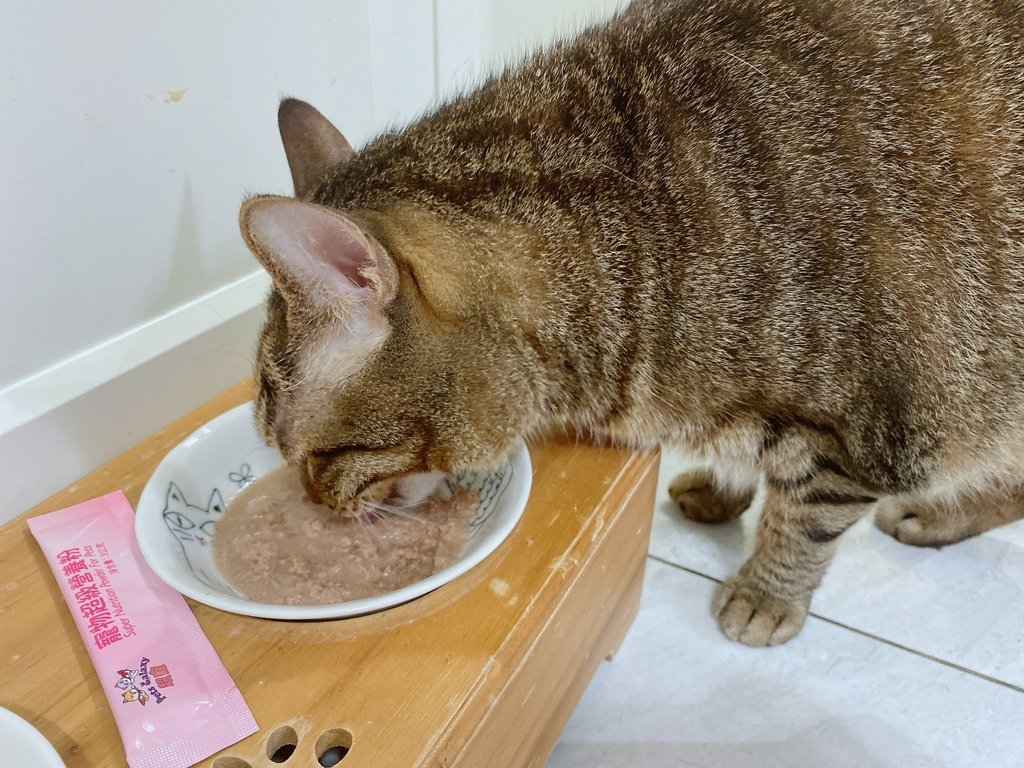 寵物營養品心得｜珮慈星系Pets Galaxy｜【超寵】寵物