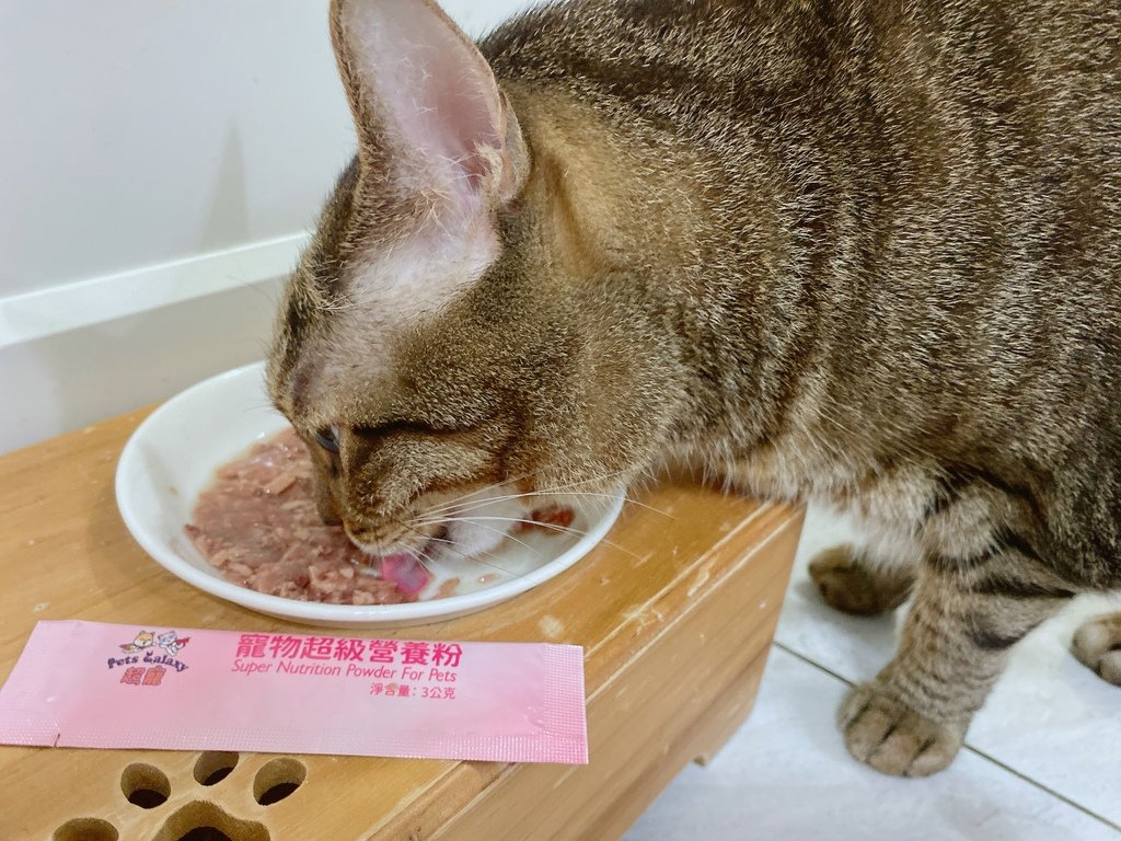 寵物營養品心得｜珮慈星系Pets Galaxy｜【超寵】寵物