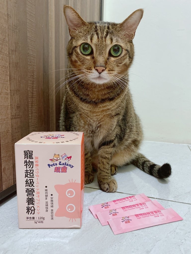 [ 飼主心得 ] 迷迷貓貓的吃喝玩樂快意生活 開箱 珮慈星系 超寵寵物營養粉