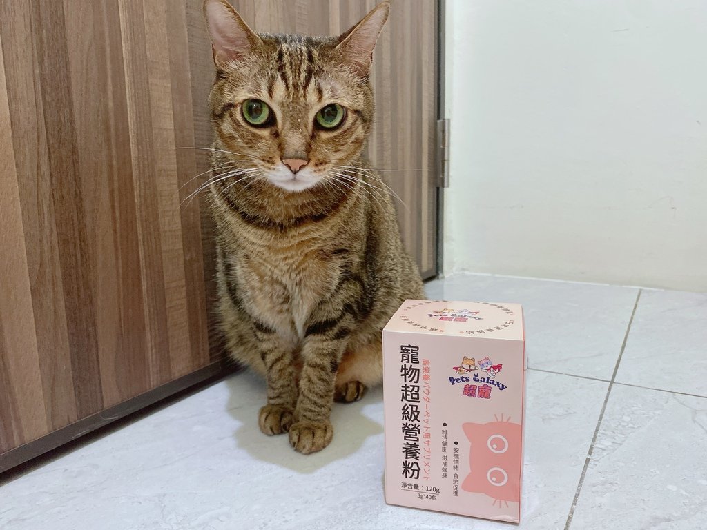 寵物營養品心得｜珮慈星系Pets Galaxy｜【超寵】寵物