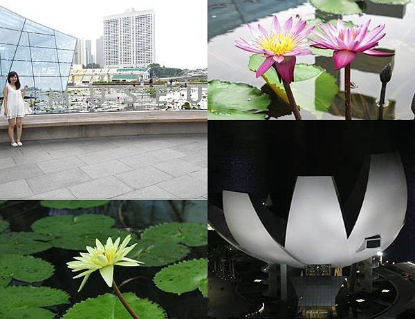 金沙走走3.jpg