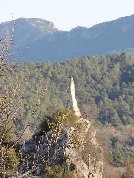 DSCN2470