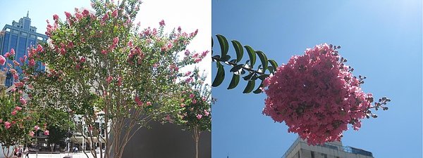 IMG_8021.1.JPG