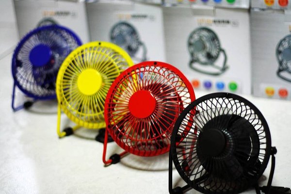 fan4.jpg