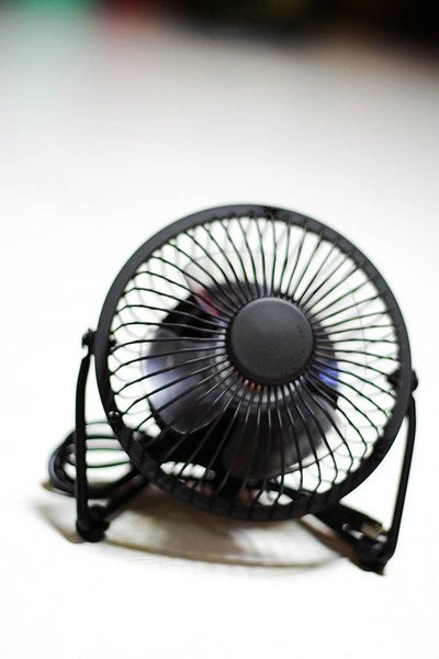 fan1.jpg