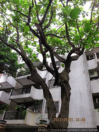 IMG_0770