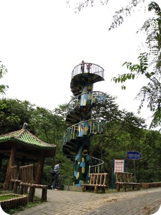 tubaIMG_3426.JPG
