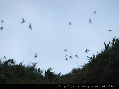 DSCF9564.JPG