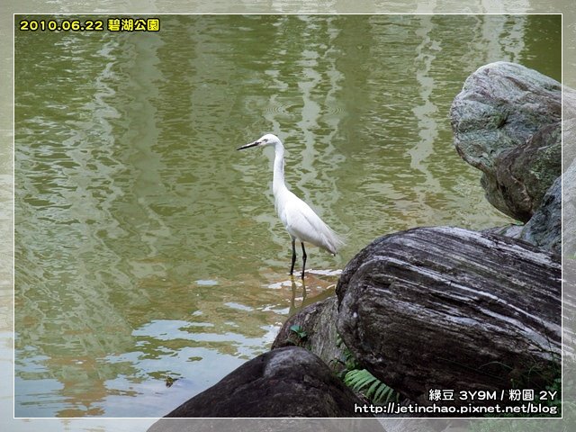 2010-6-22 上午 10-16-52.JPG