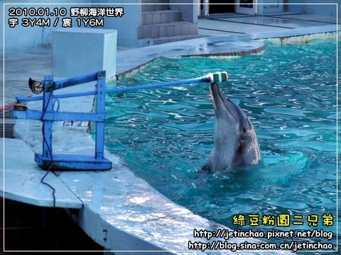 2010-1-10 下午 01-08-8.JPG