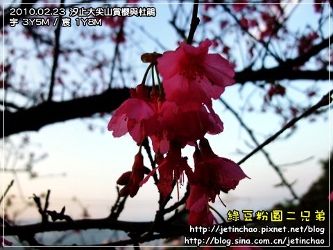 2010-2-23 下午 05-21-53.JPG