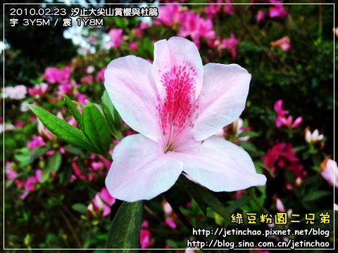 2010-2-23 下午 05-23-23.JPG