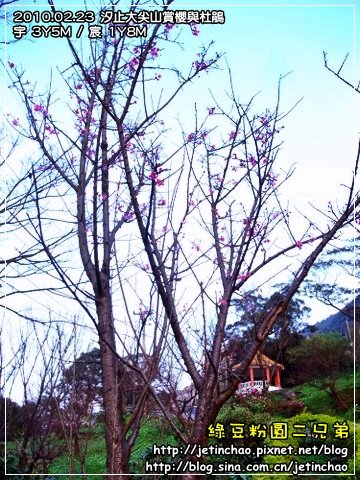 2010-2-23 下午 05-26-19.JPG