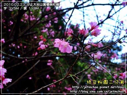 2010-2-23 下午 05-34-11.JPG