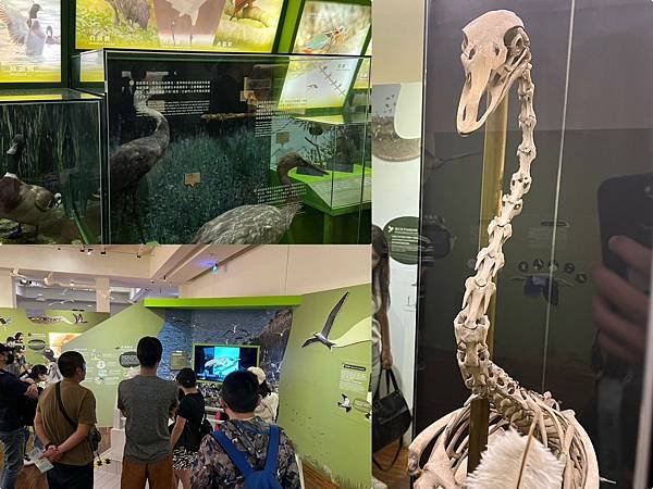 （台北車站景點）國立臺灣博物館／古生物館～台灣第一座博物館！