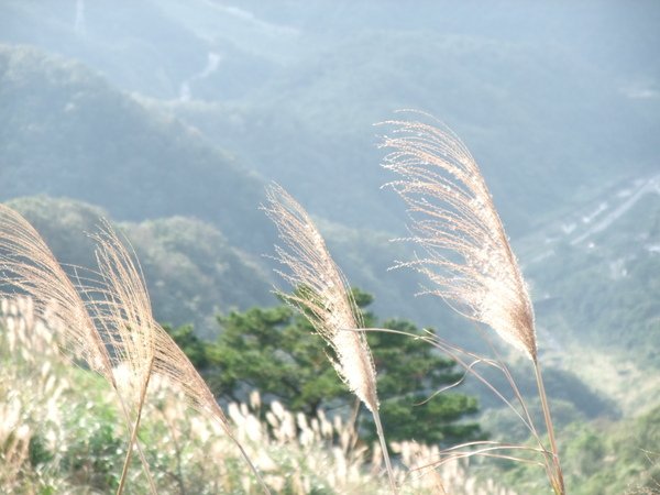 DSCF5352.JPG