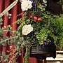 IMG_0326.jpg