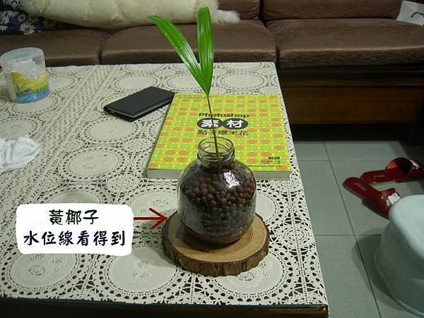 黃椰子、小試身手的作品