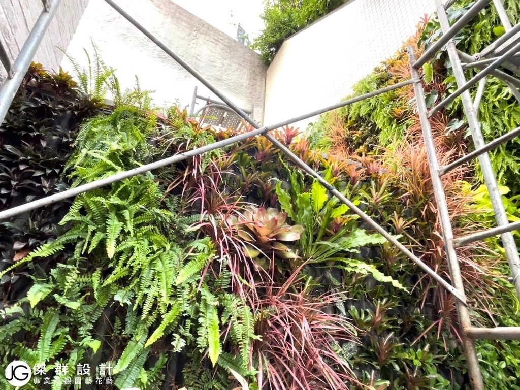 汐止社區陽台植生牆綠牆垂直花園陽台園藝設計-自動澆水自動澆灌系統-金獎布花園價格植生牆diy-植生牆工法-植栽牆植物牆diy-草皮牆-室內植生牆植物價格-人造植生牆diy-人造植生牆工法-人造植栽牆植物牆diy-人造草皮牆-室內植生牆植物價格-綠色植生牆設計-景觀園藝花藝設計-商業空間室內造景-人造景觀施工安裝-仿真造景佈置-熱帶雨林風格植物-綠牆失敗的原因陽光空氣水-人造花-擬真花仿真花-不雕花-訂製花藝作品擺飾拍攝道具-空間設計-櫥窗設計-居家擺飾-花藝空間設計-台北廠商-傑群設計有限公司-Plantwall-Greenwall-VerticalGarden