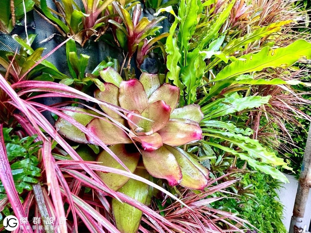 汐止社區陽台植生牆綠牆垂直花園陽台園藝設計-自動澆水自動澆灌系統-金獎布花園價格植生牆diy-植生牆工法-植栽牆植物牆diy-草皮牆-室內植生牆植物價格-人造植生牆diy-人造植生牆工法-人造植栽牆植物牆diy-人造草皮牆-室內植生牆植物價格-綠色植生牆設計-景觀園藝花藝設計-商業空間室內造景-人造景觀施工安裝-仿真造景佈置-熱帶雨林風格植物-綠牆失敗的原因陽光空氣水-人造花-擬真花仿真花-不雕花-訂製花藝作品擺飾拍攝道具-空間設計-櫥窗設計-居家擺飾-花藝空間設計-台北廠商-傑群設計有限公司-Plantwall-Greenwall-VerticalGarden