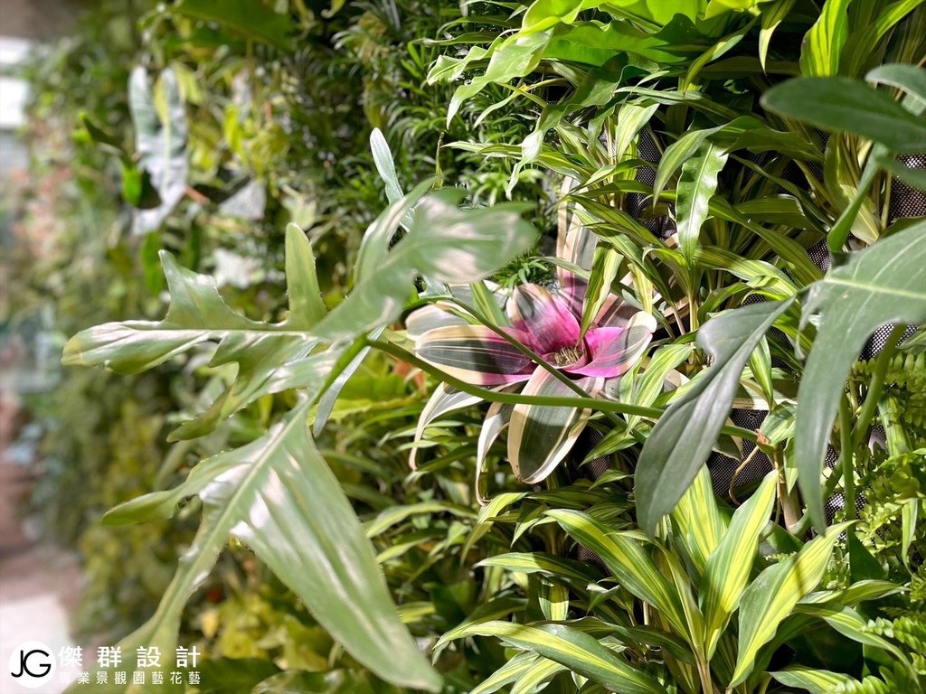 蘆洲商辦辦公室綠化-工廠設計垂直花園-社區陽台植生牆綠牆-宮崎駿動畫影片-百貨公司綠牆-室內植生牆diy-植生牆缺點-植生牆植物推薦-戶外植物牆-植物牆植物-植栽牆植物-植栽牆diy-陽台植物牆綠化設計-植生牆工法-陽台植栽設計-鹿角蕨牆-植物牆diy-布花園人造花牆-植生牆施工圖-生態牆-綠牆植物選擇-陽台植生牆diy-植物牆設計費用價格-陽台圍牆設計-陽台植栽佈置-假盆栽哪裡買-假花牆設計-台北廠商-傑群設計有限公司-Plantwall-Greenwall-VerticalGarden