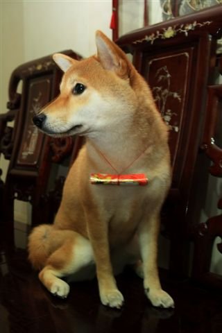 DPP_0010.jpg