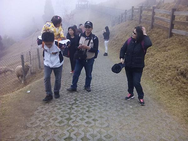 IMG_20140301_125053.jpg