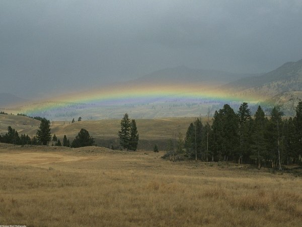 Lamar-Valley-Sunset-Rainbow,-Yellowstone-National-Park,-Montana.jpg