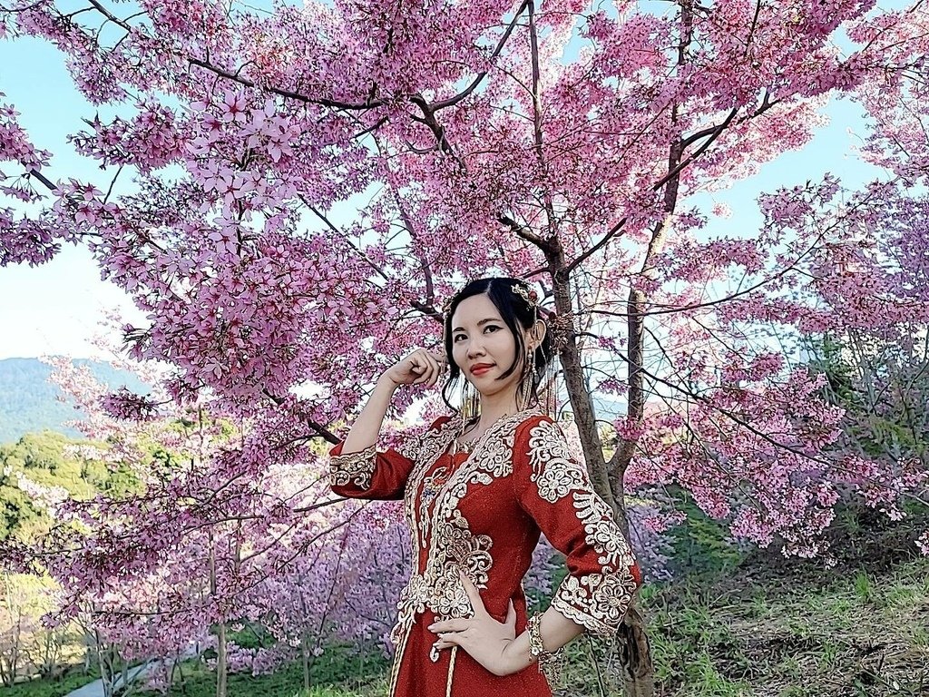 賞櫻秘境.jpg