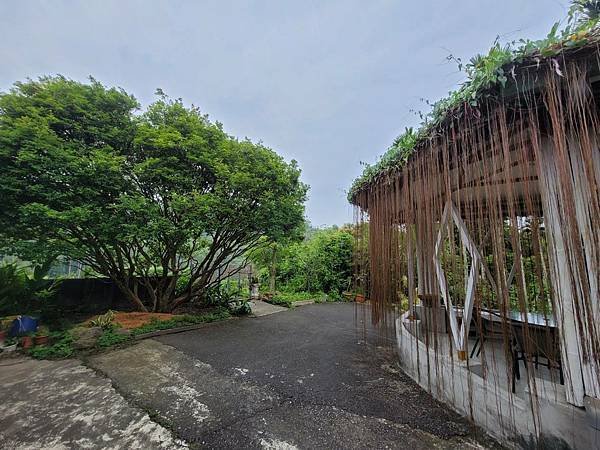 豆讚咖啡園.jpg
