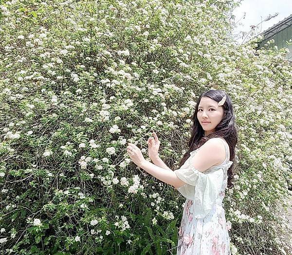 花牆.jpg