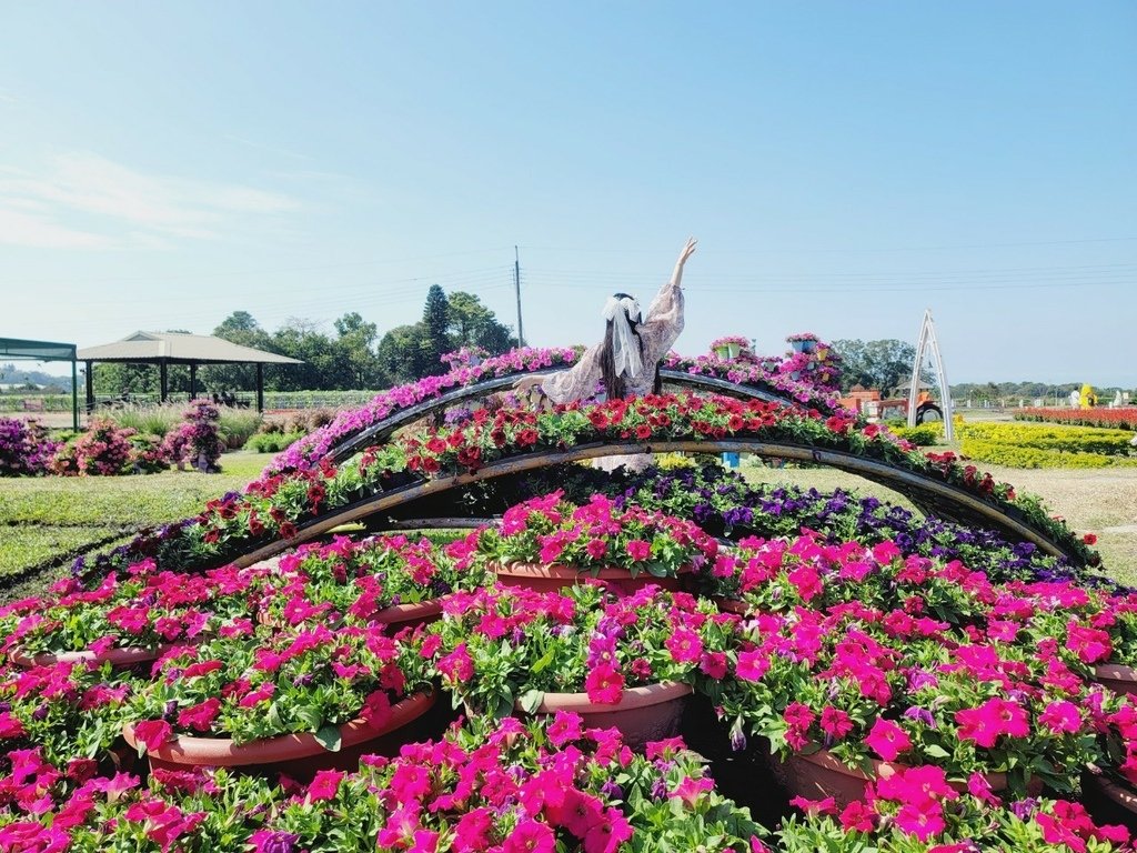 LINE_ALBUM_新社花海_231117_6.jpg