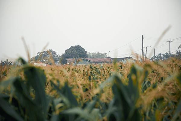 20140119建宏&amp;俐潔-4.jpg
