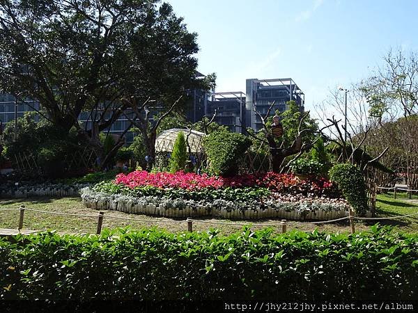 DSC02620.JPG