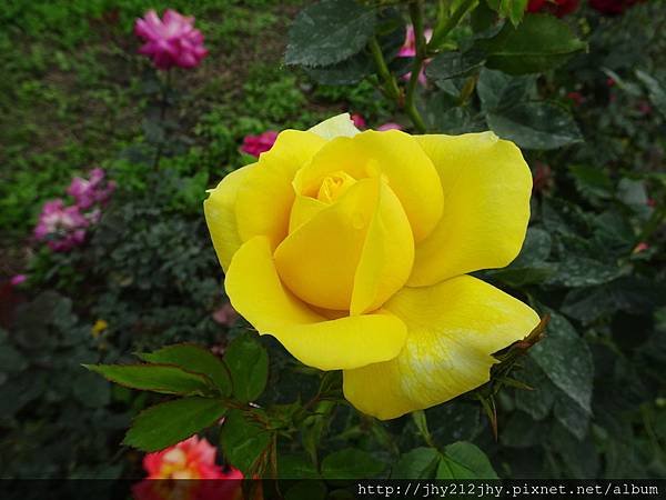 DSC03293.JPG