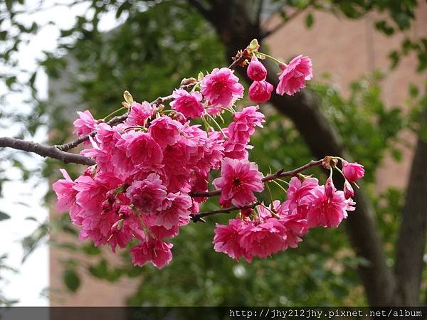DSC04280.JPG