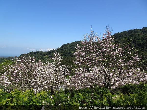 DSC05095.JPG