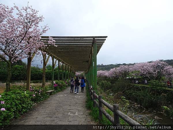 DSC09595.JPG