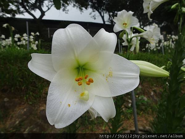 DSC01686.JPG
