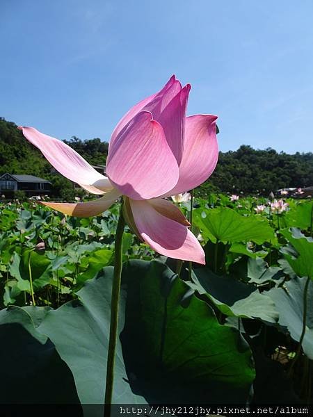 DSC04056.jpg