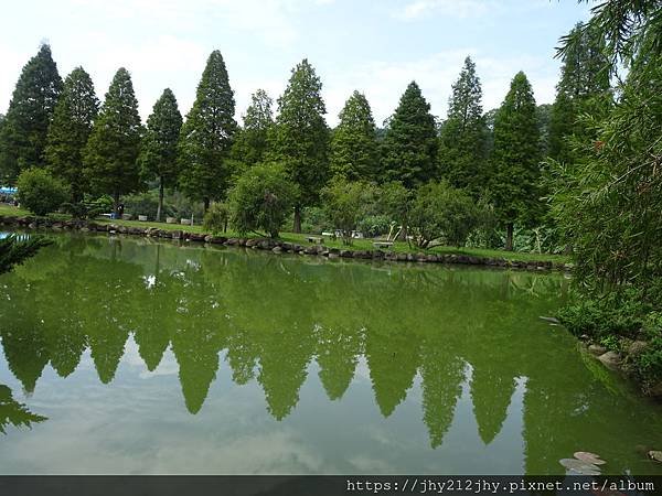 DSC07576.JPG